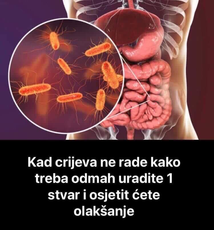 Pogledajte šta uraditi ako crijeva ne rade kako treba, evo načina da se izliječite