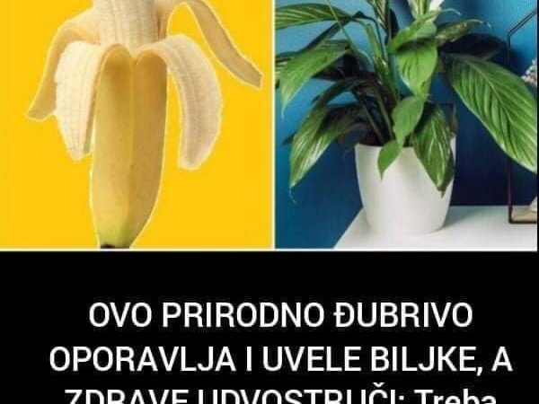 Prirodno đubrivo za zdrave biljke, pogledajte o čemu se radi