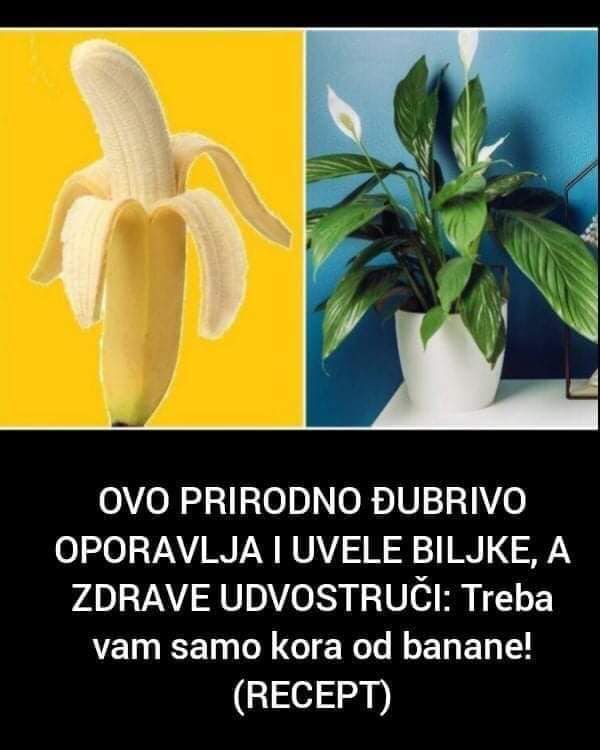 Prirodno đubrivo za zdrave biljke, pogledajte o čemu se radi