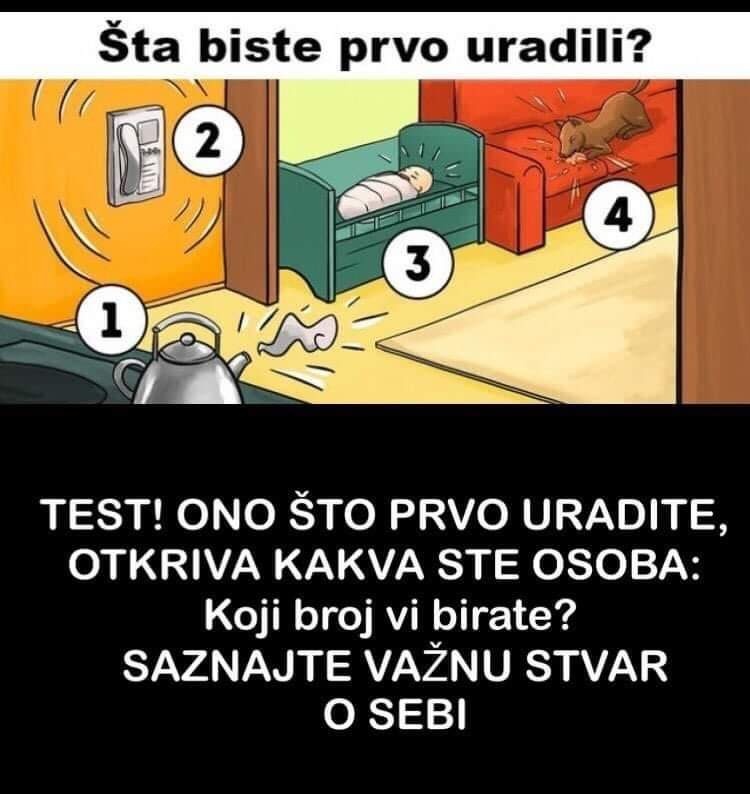 Mozgalica , šta bih ste vi prvo uradili