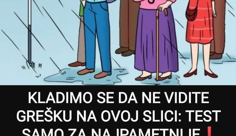 Ovaj test je za one malo pametnije, pronađite grešku na ovoj slici