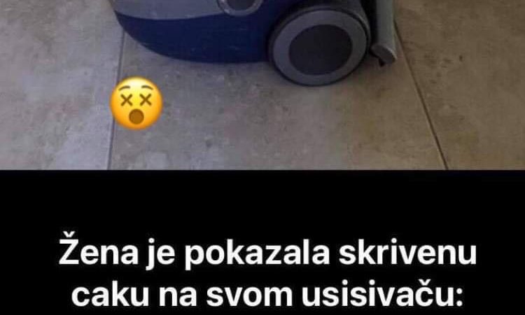 Pogledajte caku zašto još služi usisivaž