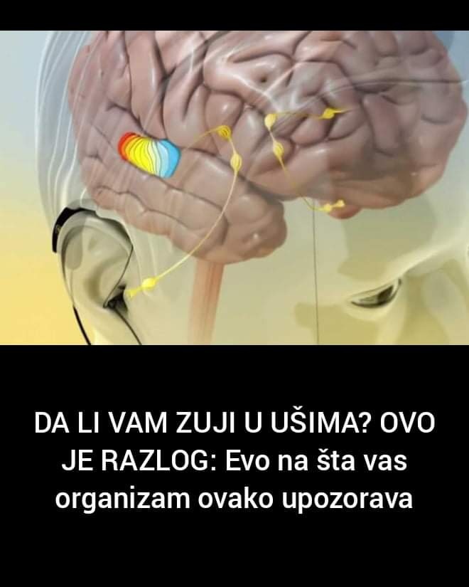 Pogledajte na šta Vas organizam upozorava kad zuji u ušima