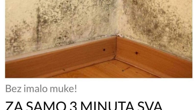 OVO JE TRIK SA KOJIM NESTAJE SVA BUĐ IZ DOMA ZA 3 MINUTA