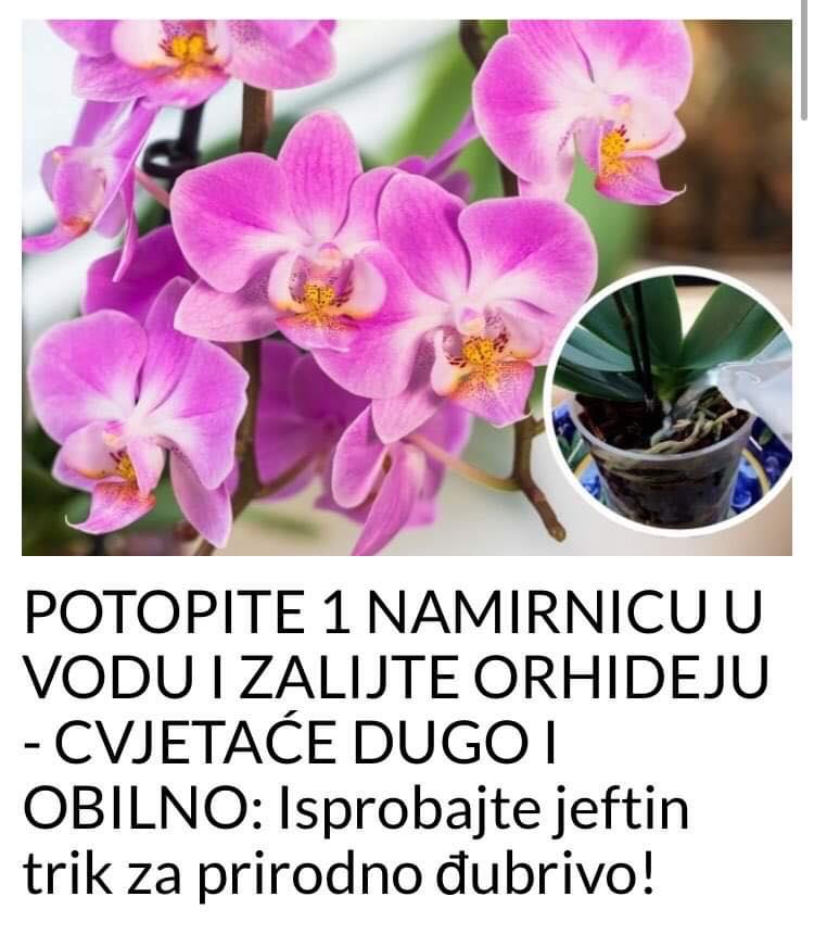 POGLEDAJTE KAKO DA VAM ORHIDEJA PROCVJETA