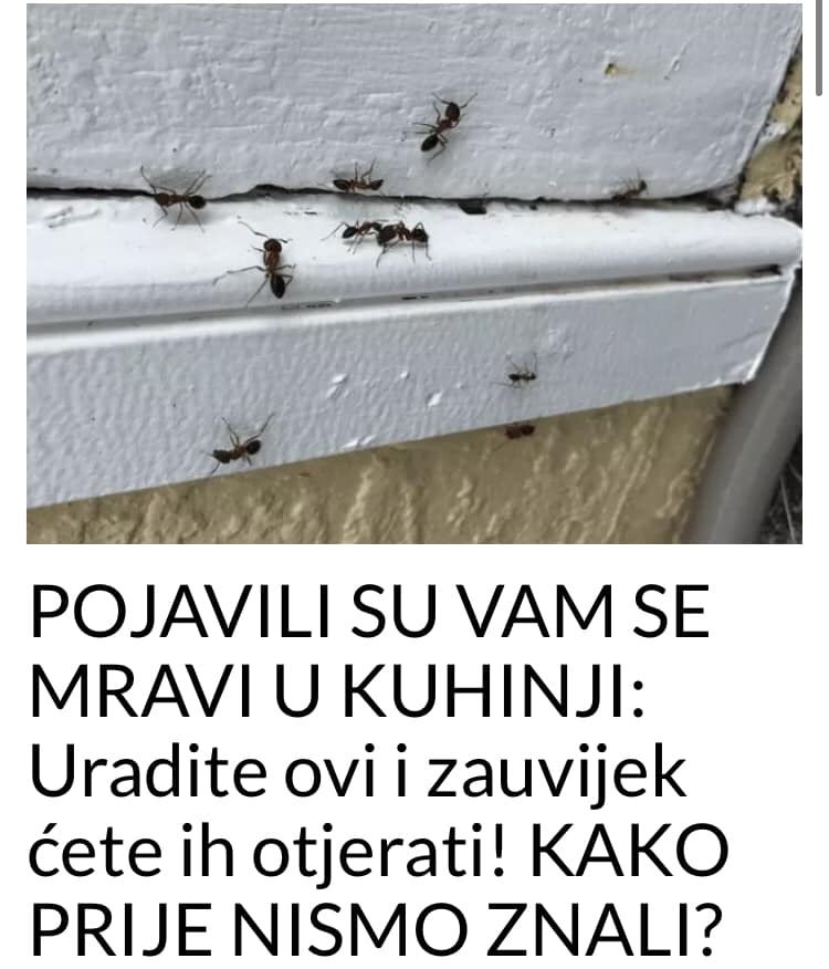 POGLEDAJTE KAKO SE RIJEŠITI MRAVA U KUHINJI