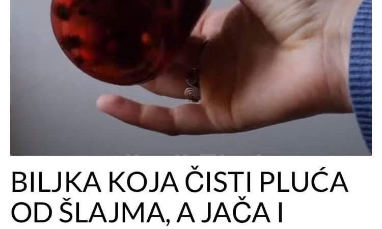 POGLEDAJTE KOJA 2 SASTOJKA NAPRAVE LIJEK KOJI LIJEČI ŠLAJM