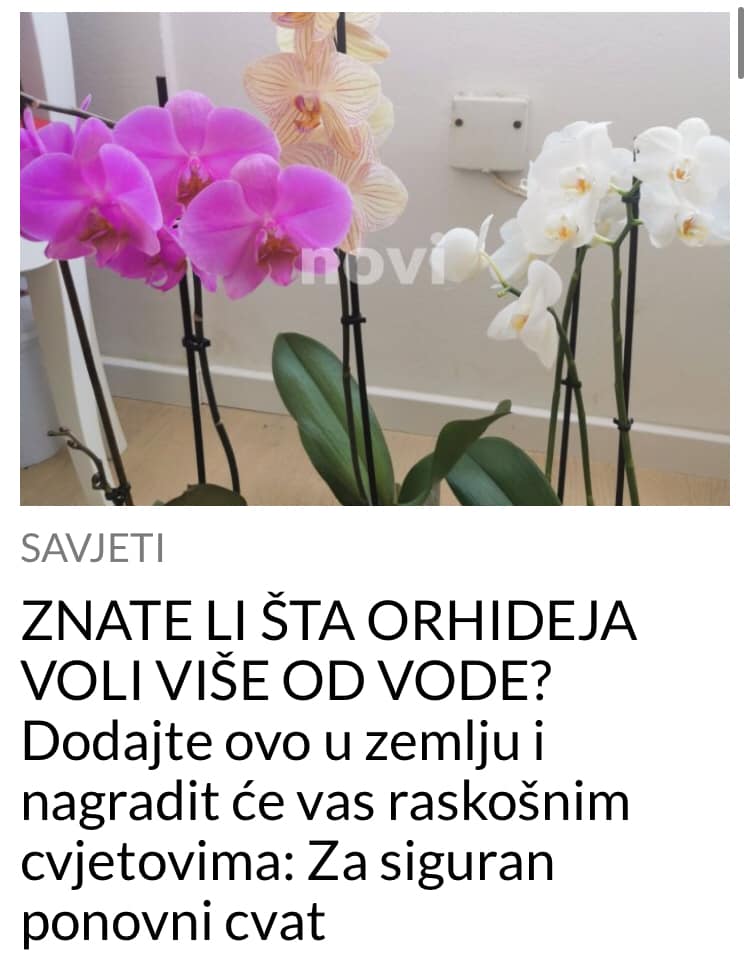 POGLEDAJTE STA TREBATE DODATI U ZEMLJU KAKO BI ORHIDEJA BOLJE PROCVJETALA