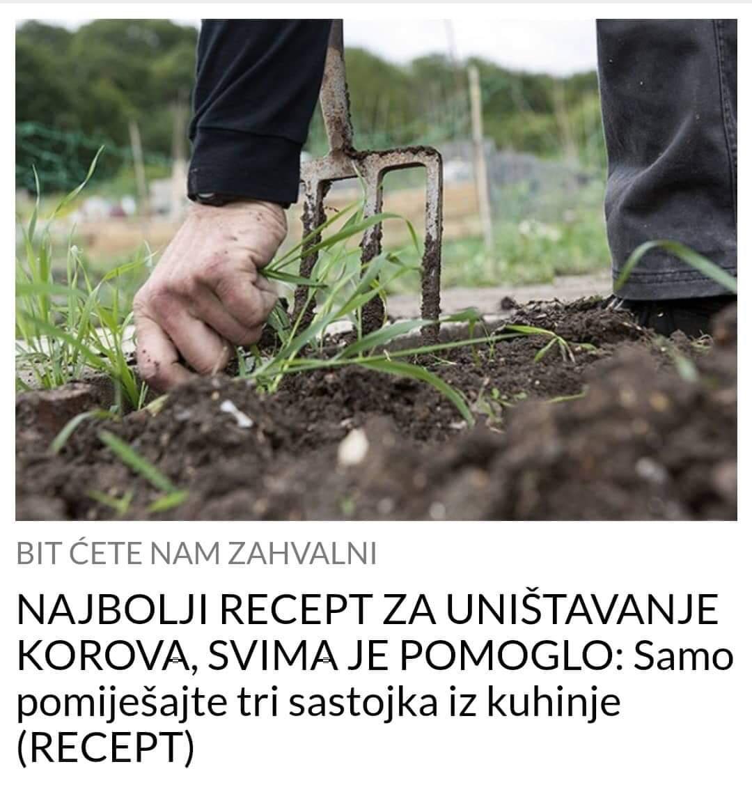 OVAJ RECEPT JE SVIMA POMOGAO ZA UNIŠTAVANJE KOROVA