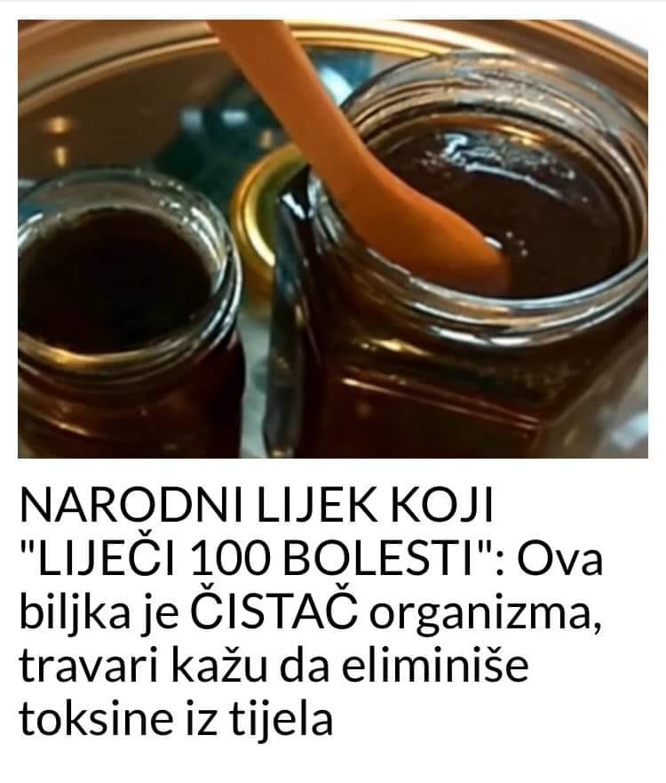 POGLEDAJTE KOJA BILJKA  CISTI ORGANIZAM