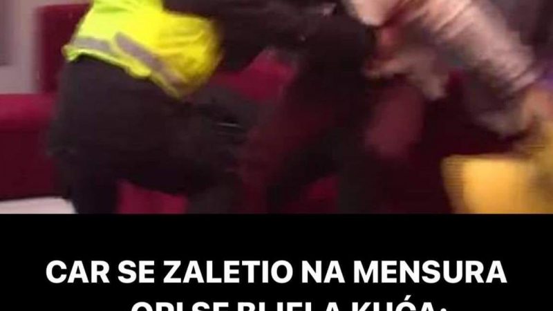 POGLEDAJTE KAKO SE CAR ZALETEO NA MENSURA