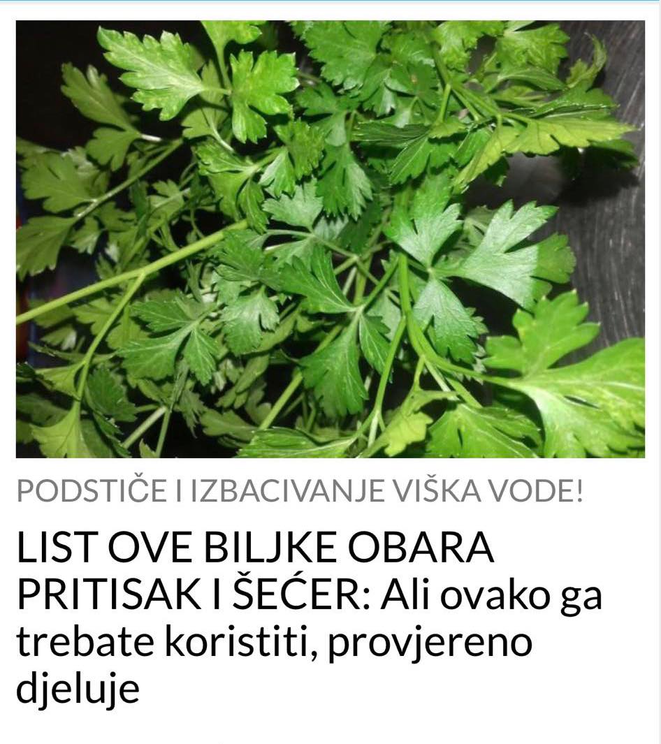 KORISTITE OVU BILJKU DA OBORITE ŠEĆER I PRITISAK