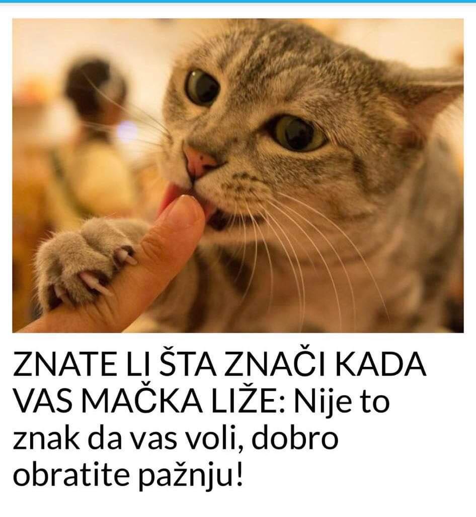 POGLEDAJTE STA ZNACI  KADA VAS MACKA LIZE