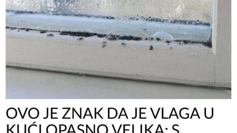 POGLEDAJTE KAKO DA SE ZAŠTITITE OD VLAGE